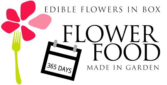 Fiori eduli erbe commestibili Fattoria delle Erbe